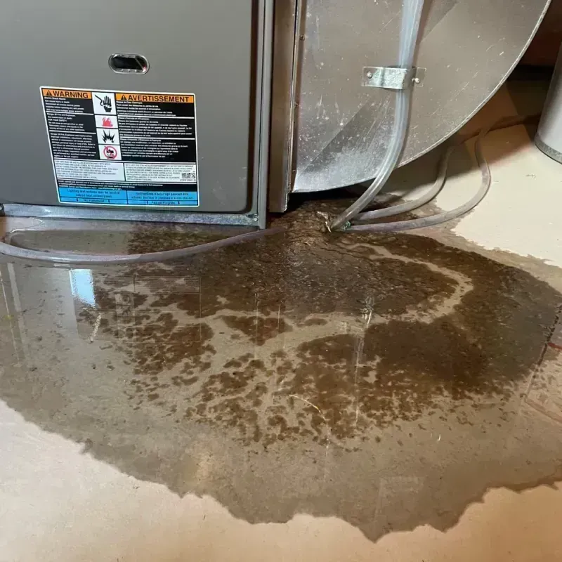 Appliance Leak Cleanup in Florham Park, NJ